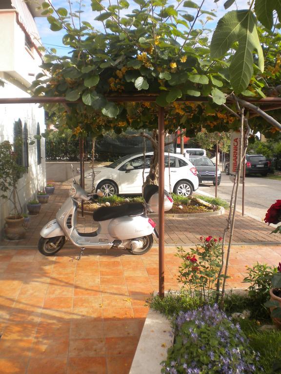 Apartments Miani Novigrad Istria 외부 사진