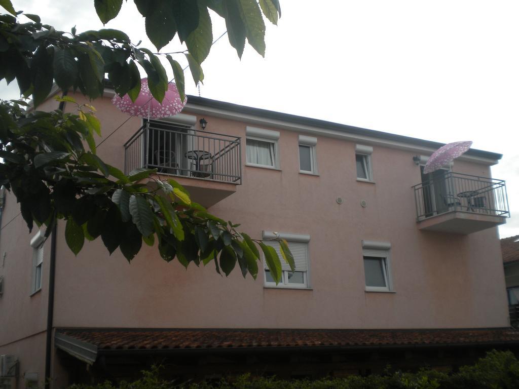 Apartments Miani Novigrad Istria 외부 사진