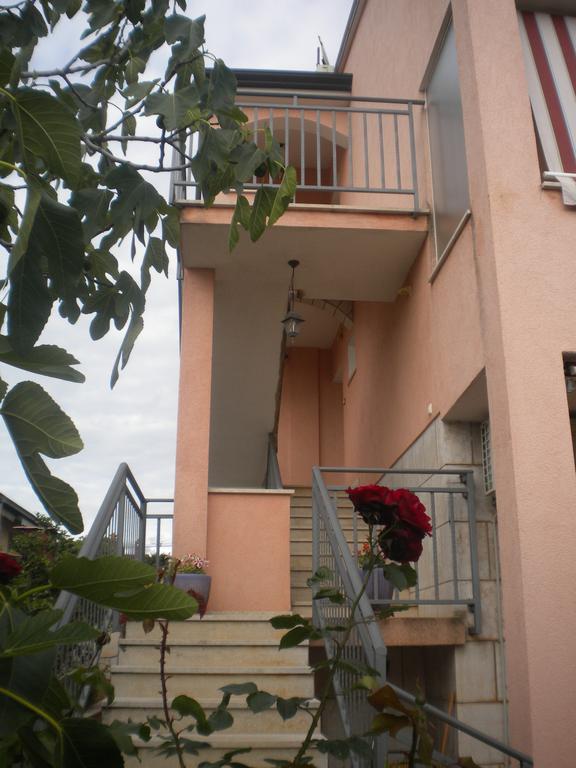 Apartments Miani Novigrad Istria 외부 사진