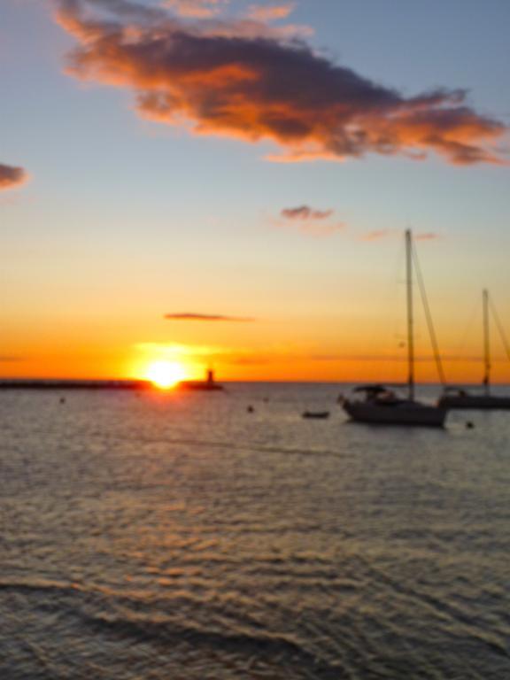 Apartments Miani Novigrad Istria 외부 사진