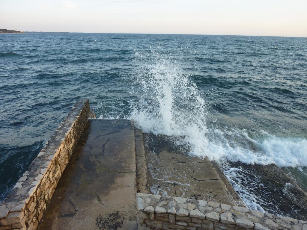 Apartments Miani Novigrad Istria 외부 사진