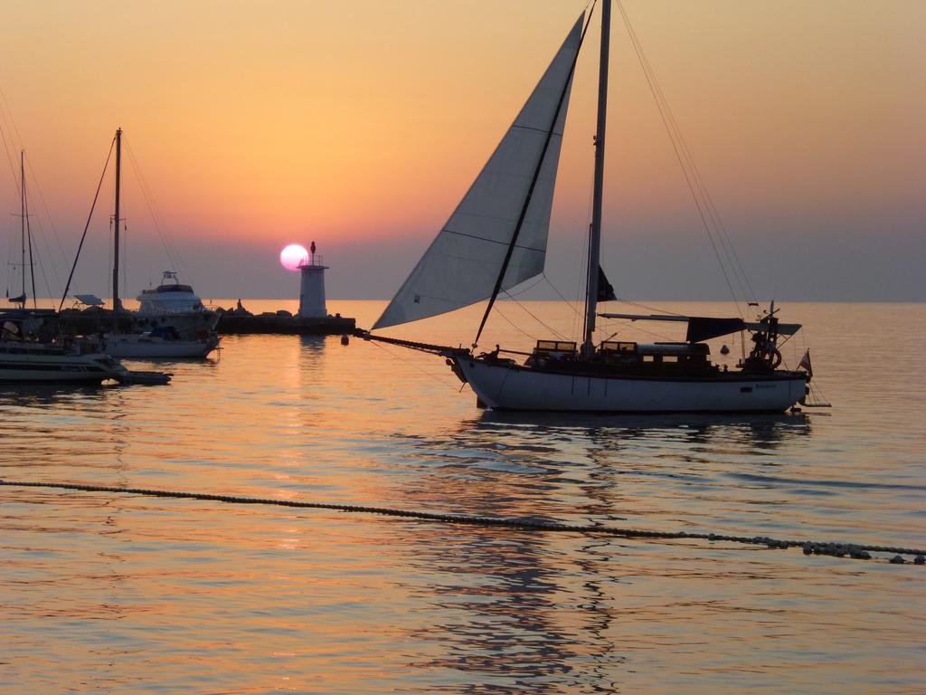 Apartments Miani Novigrad Istria 외부 사진
