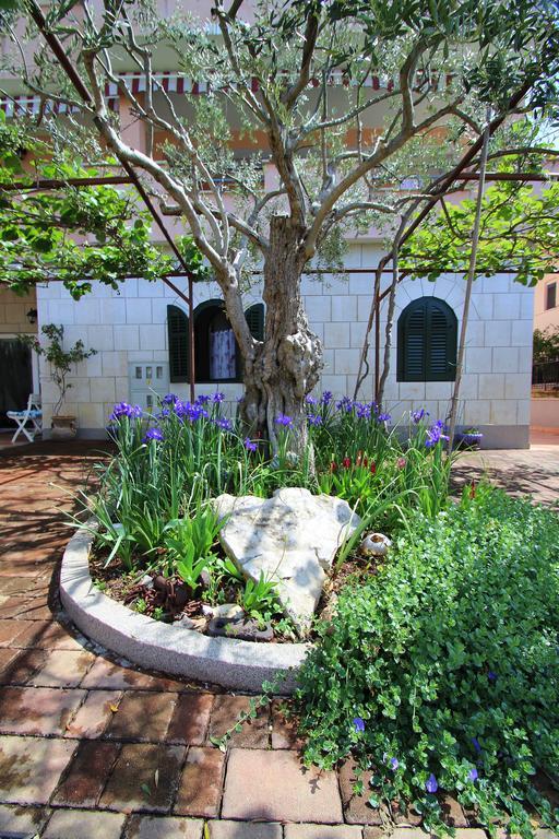 Apartments Miani Novigrad Istria 외부 사진