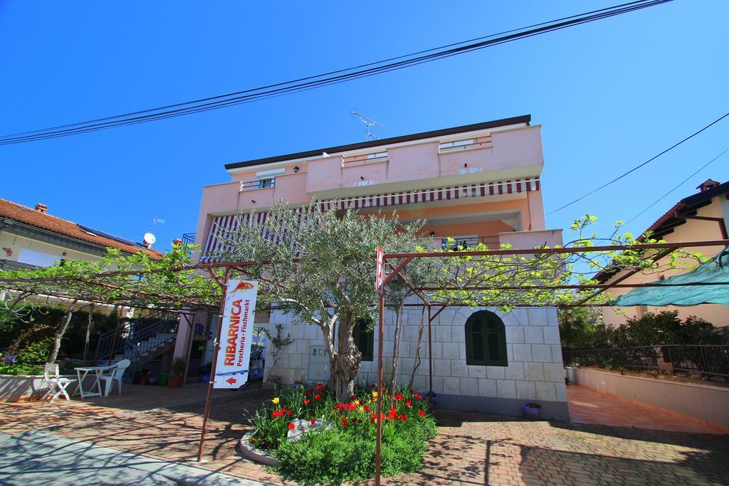 Apartments Miani Novigrad Istria 외부 사진